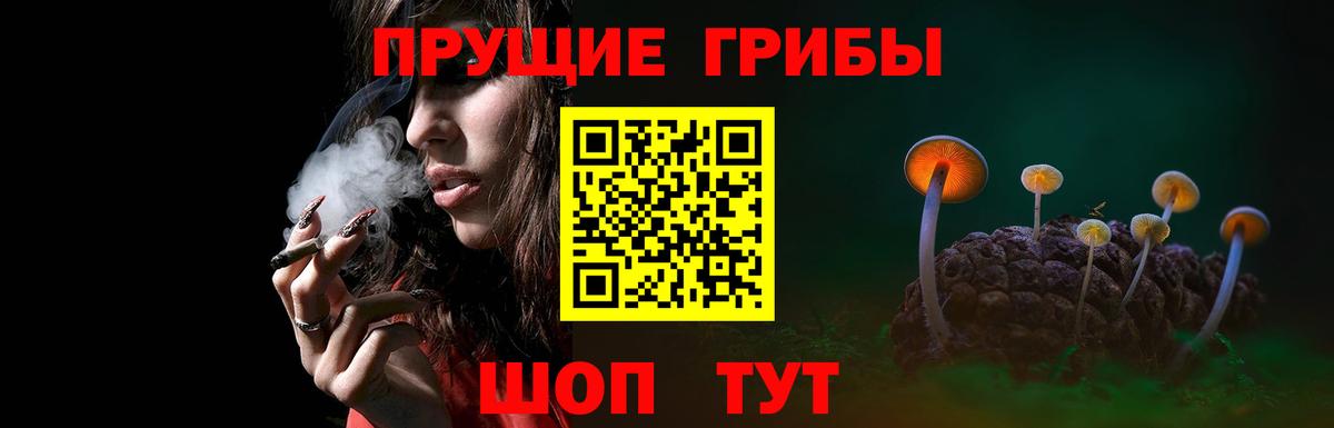 Псилоцибиновые грибы мицелий Дзержинский